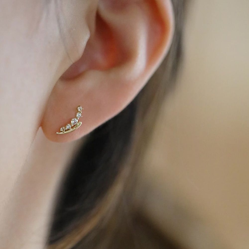 Diamond decor Earrings M1547